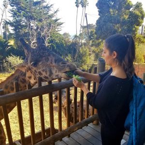 Meet your Posher, Marie